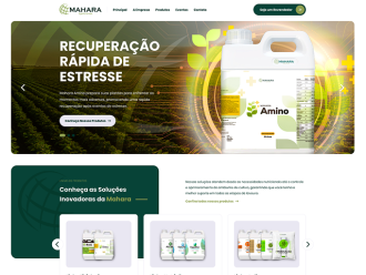 Projeto 3
